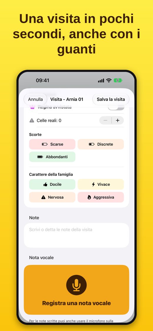 ApiAmo: visita dell'arnia